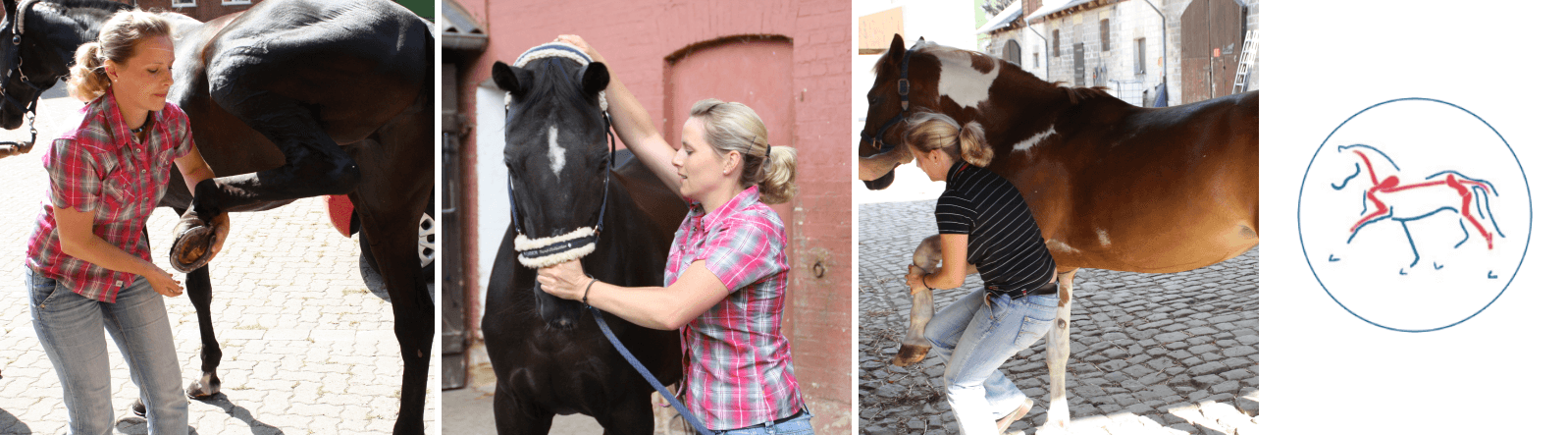 Osteopathie - osteopathische Behandlungen an Pferden und Hunden